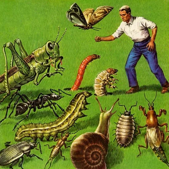 man-and-bugs jpg.jpg
