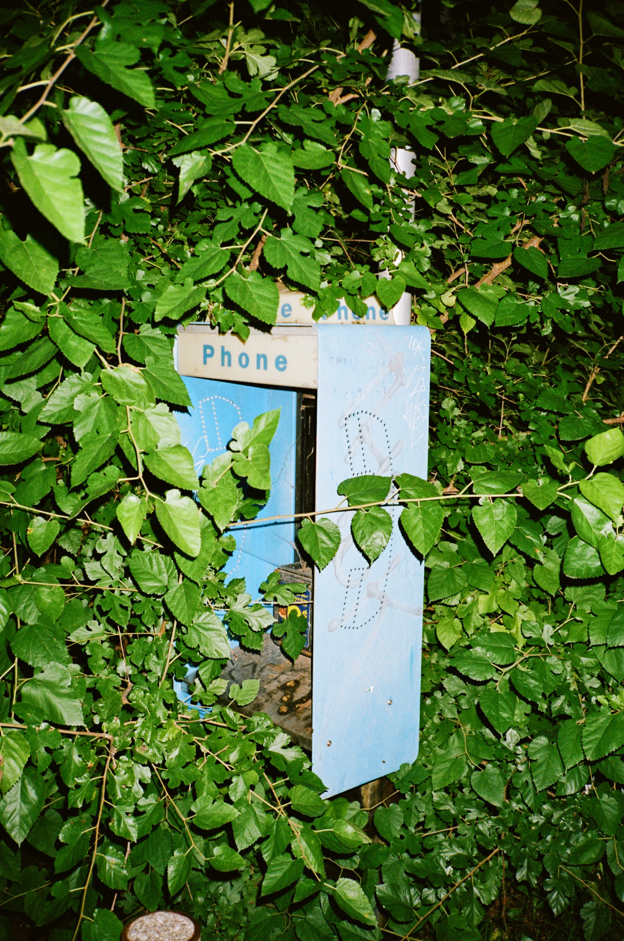 trobertson-0677-P400-10 copy 2.jpg