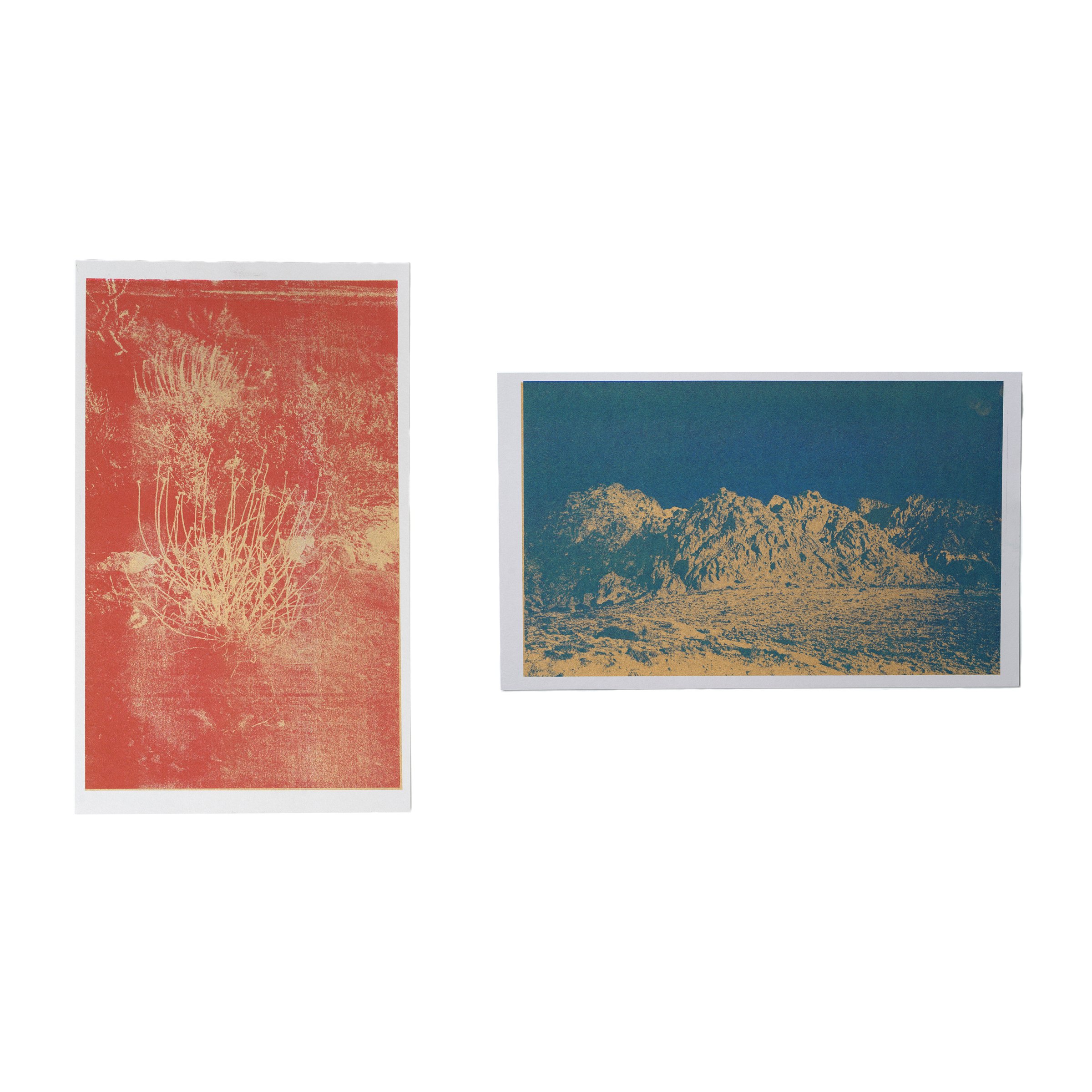 Desert Diptych.jpg