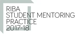 StudentMentoringPractice.jpg