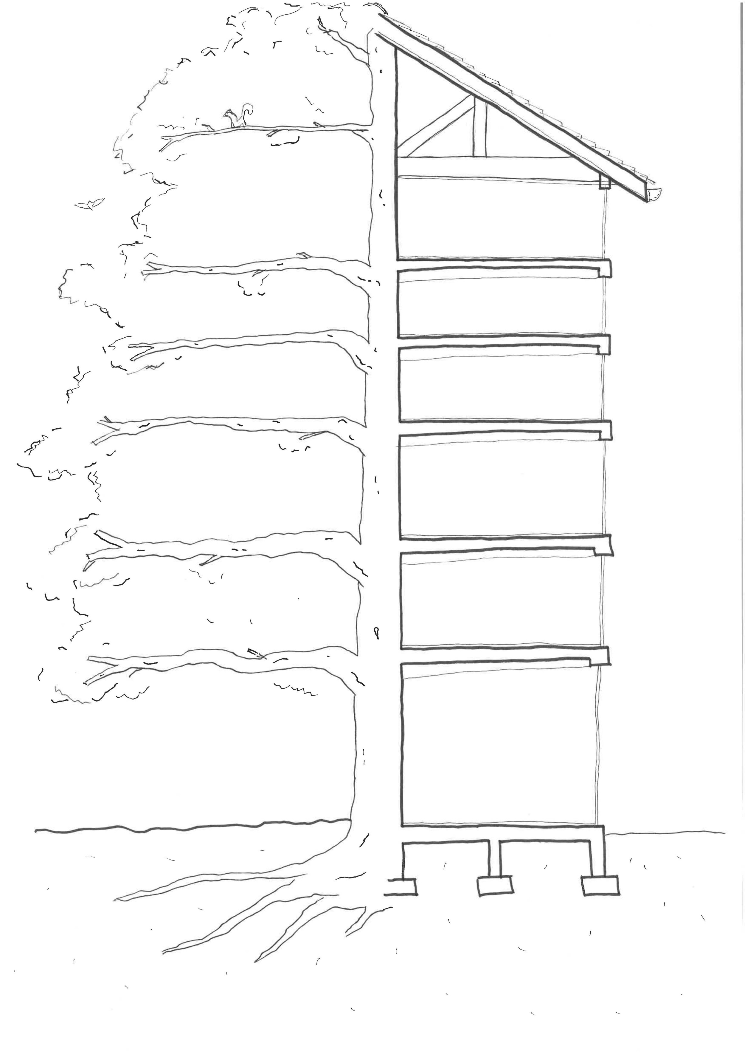 Time2Sketch Meg Tullis Calderpeel.jpg