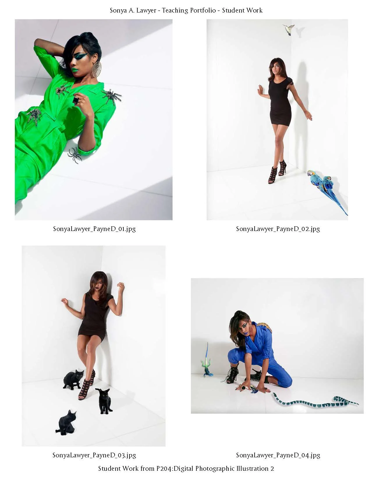 SonyaLawyer_StudentWork_MC_App_Page_4.jpg