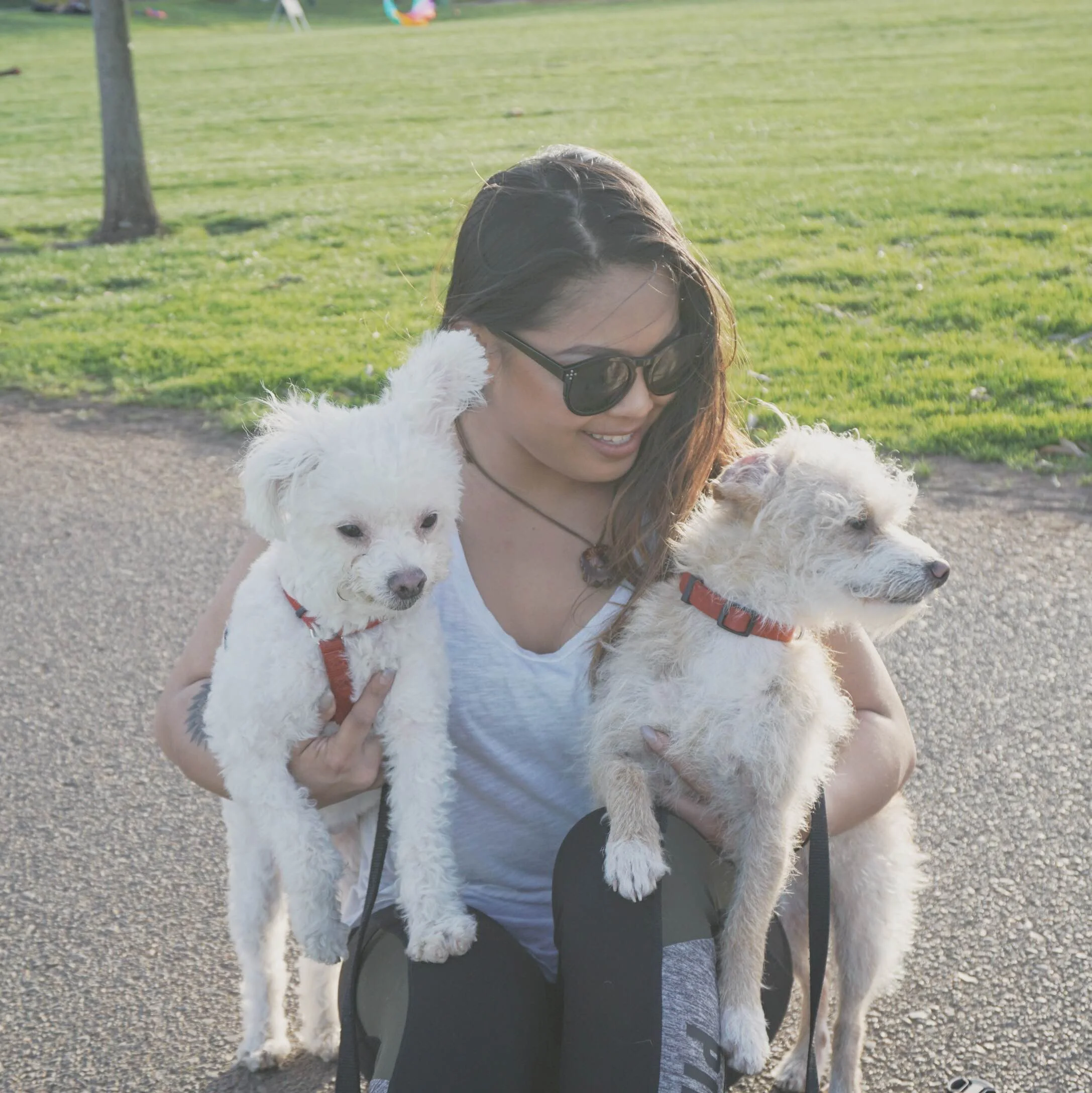Yoshi and Socks. We too, expectantly landed ourselves into the non-traditional San Francisco dog family and don't ever regret it.