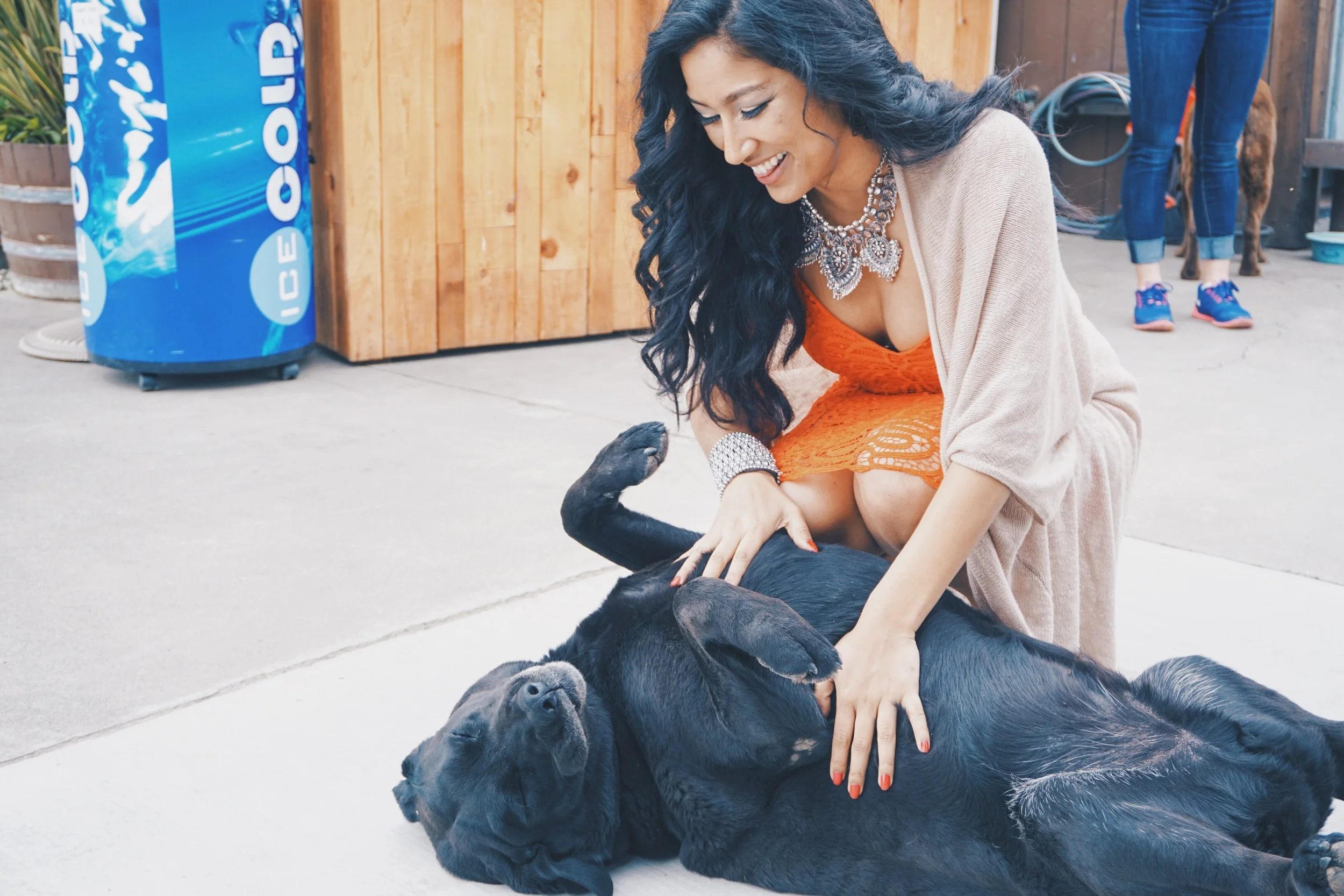 Pete loved getting belly rubs.