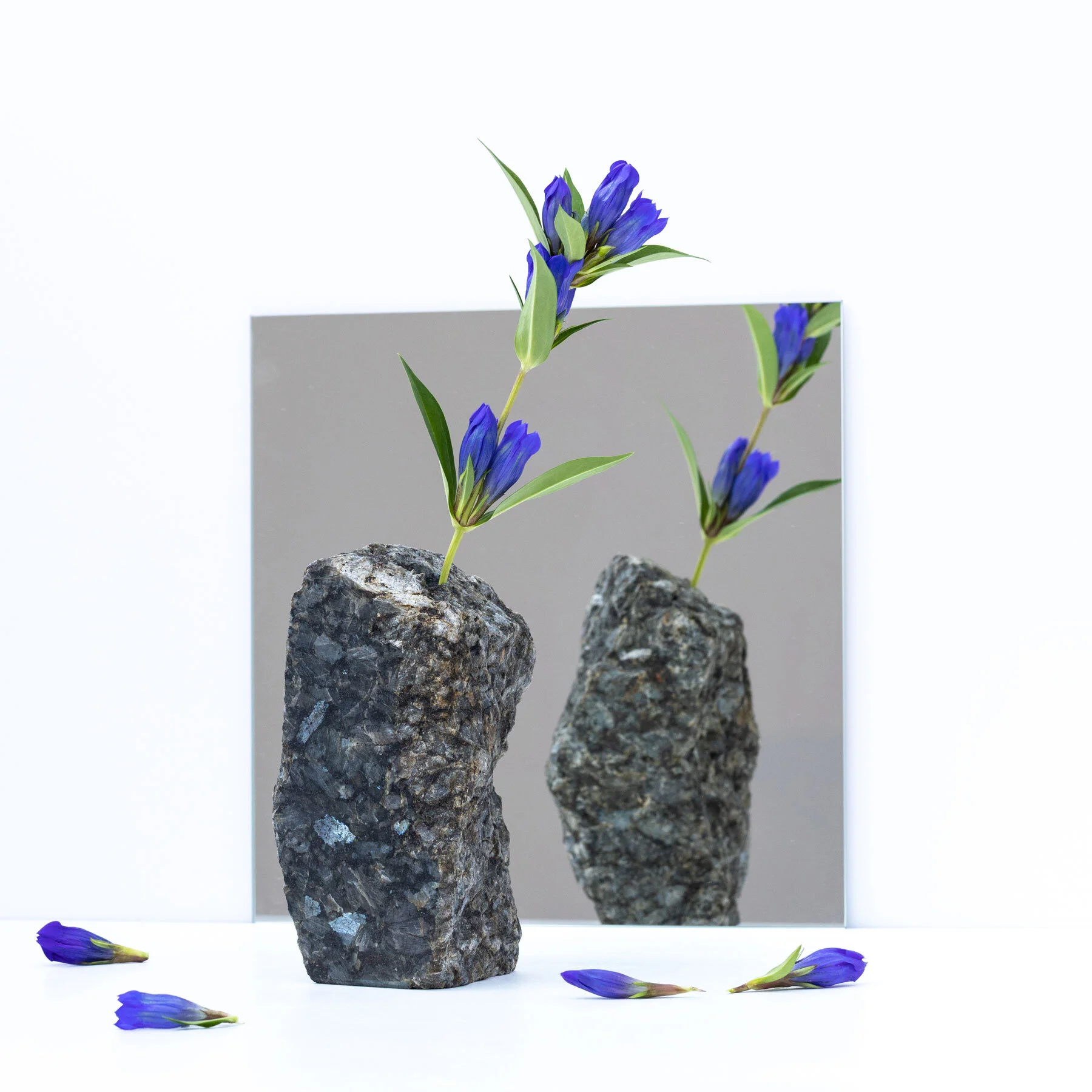 Larvik_Vase_ram-Oslo_Kaja_Dahl_foto_Kevin_Fauske_01.jpg