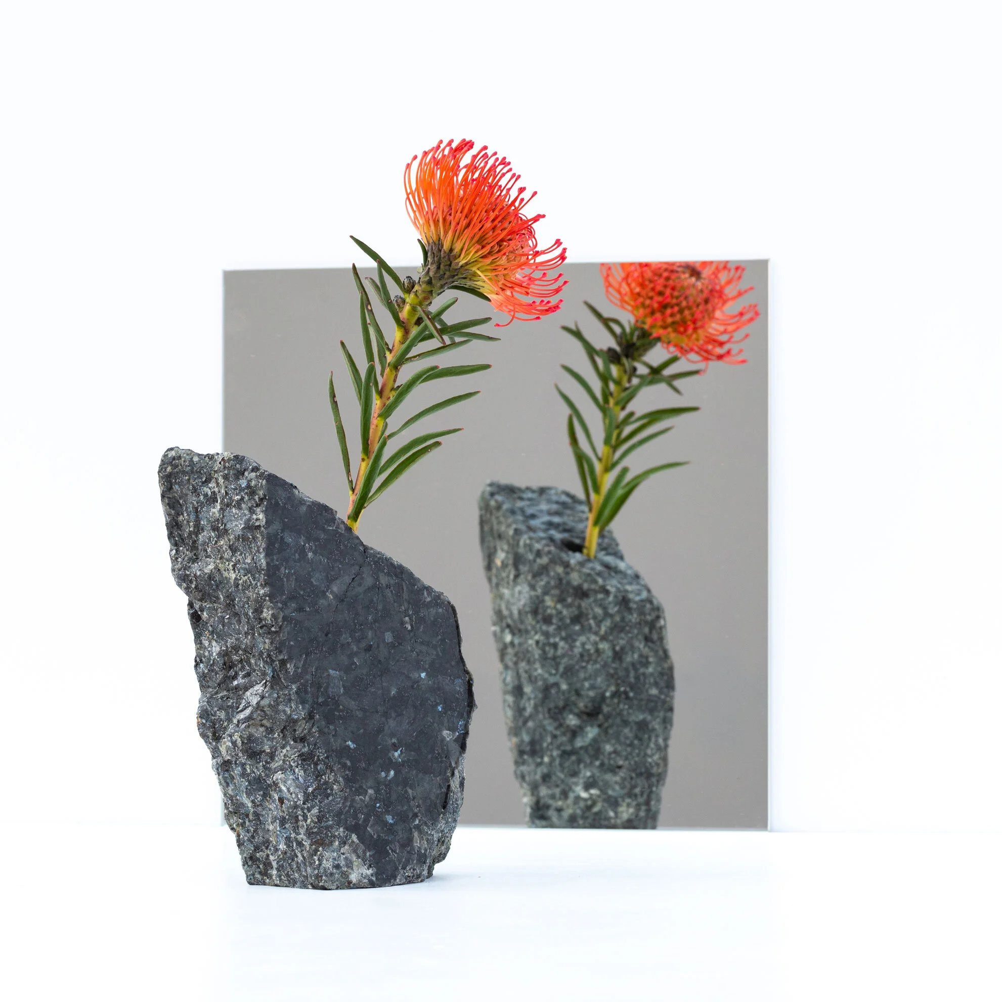 Larvik_Vase_ram-Oslo_Kaja_Dahl_foto_Kevin_Fauske_02.jpg