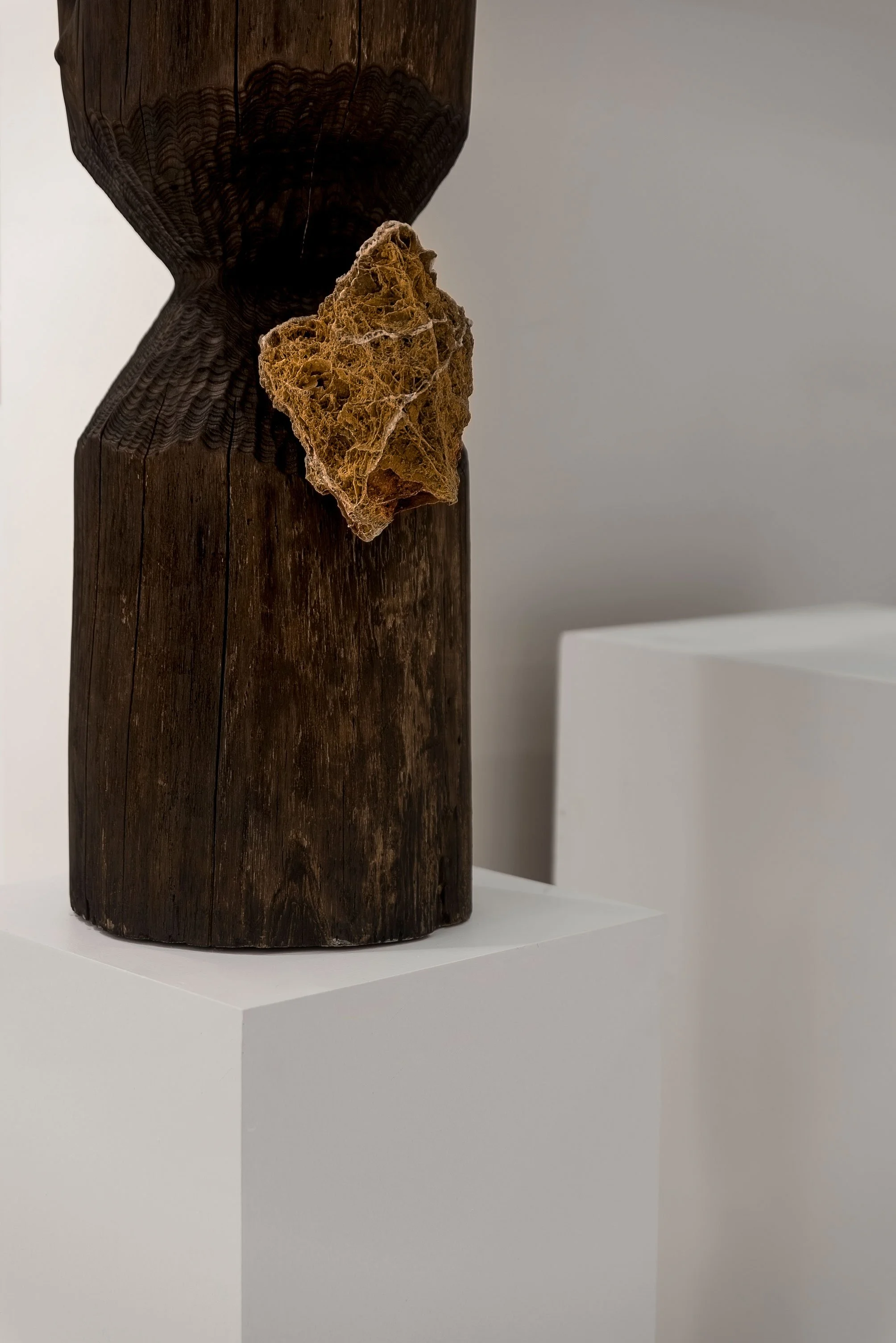 Olfactory-Sculptures-5.jpg