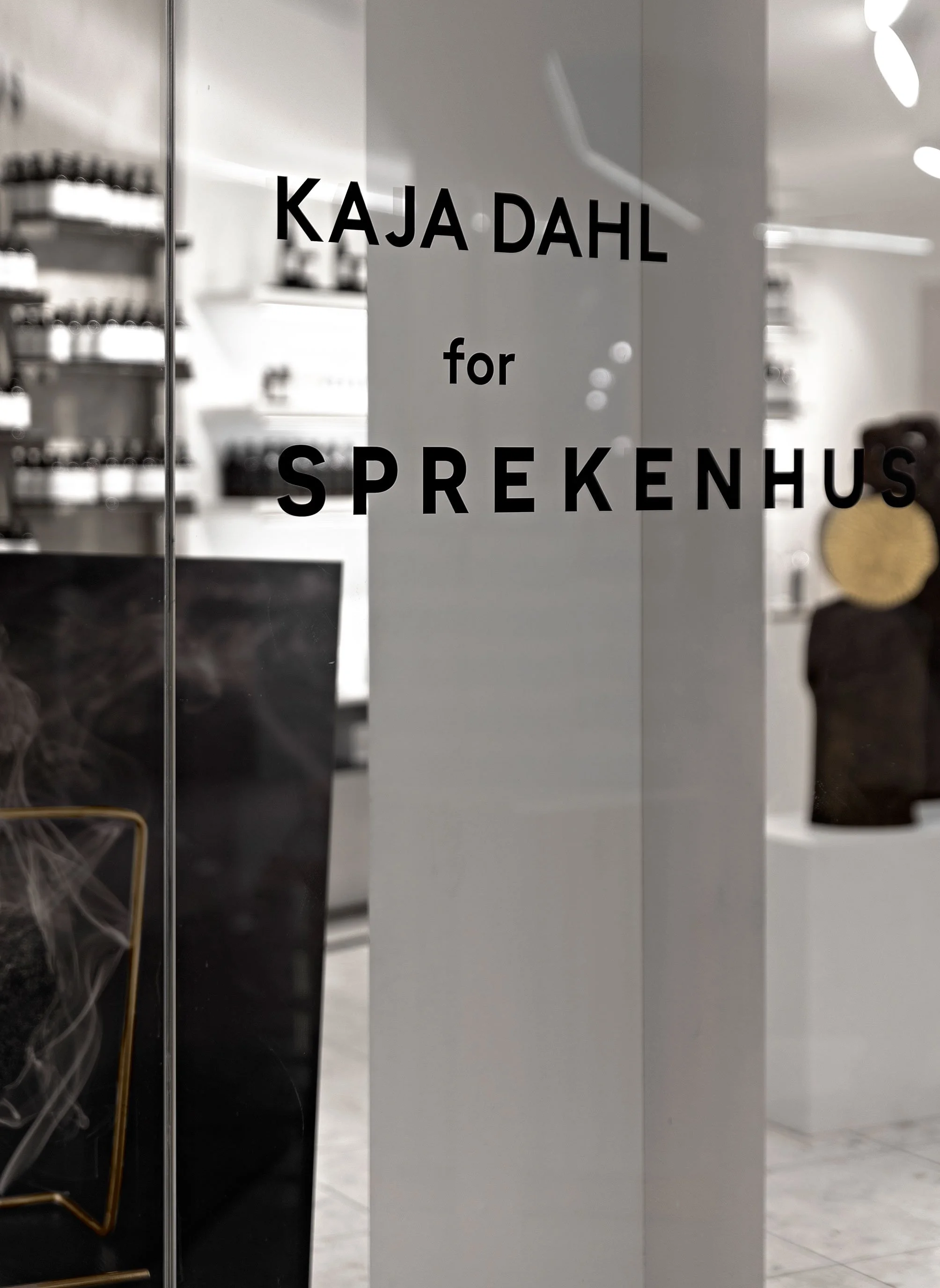 Kaja-Dahl-for-Alexander-Sprekenhus-Concept-Store.jpg