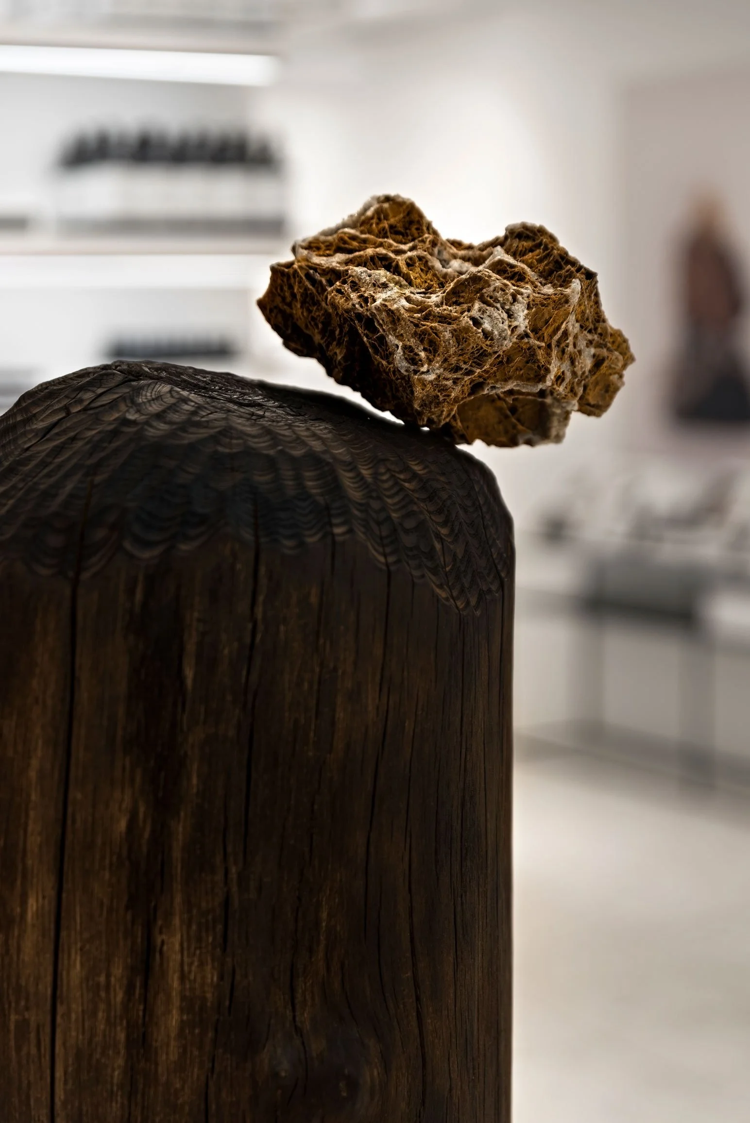 Olfactory-Sculptures-7.jpg