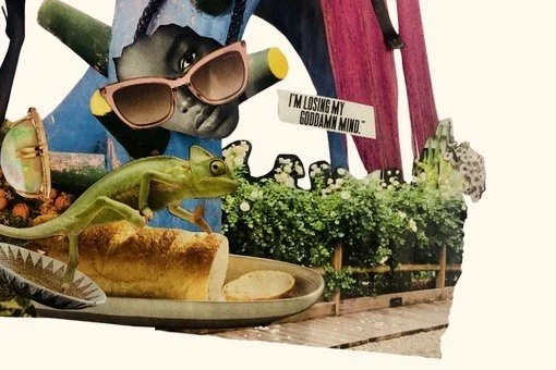 The past few months and some change&hellip;