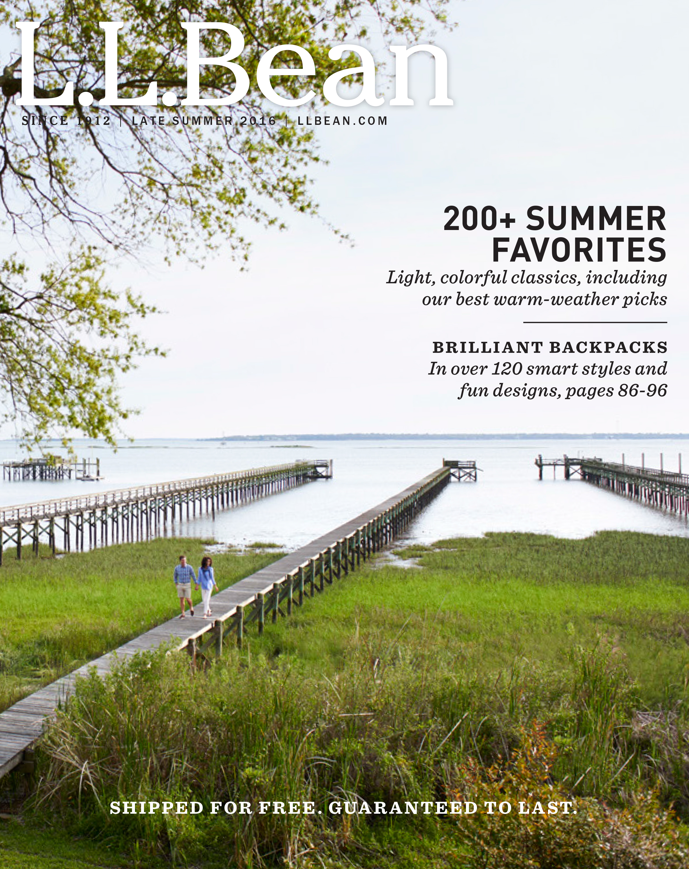 LLbeansummercover.png