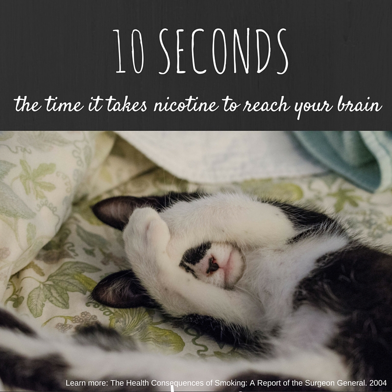 10 seconds.jpg