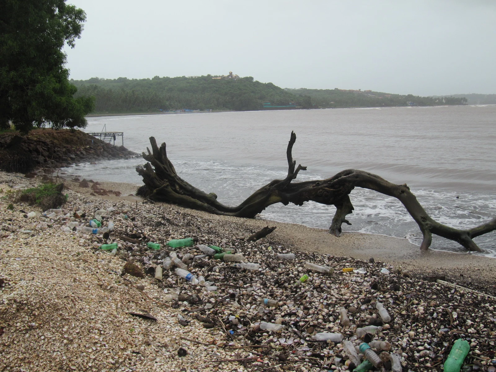Reducing Waste: The Value of our Trash (Part 1)