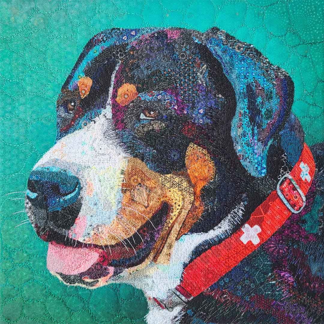 swiss mtn dog.jpg