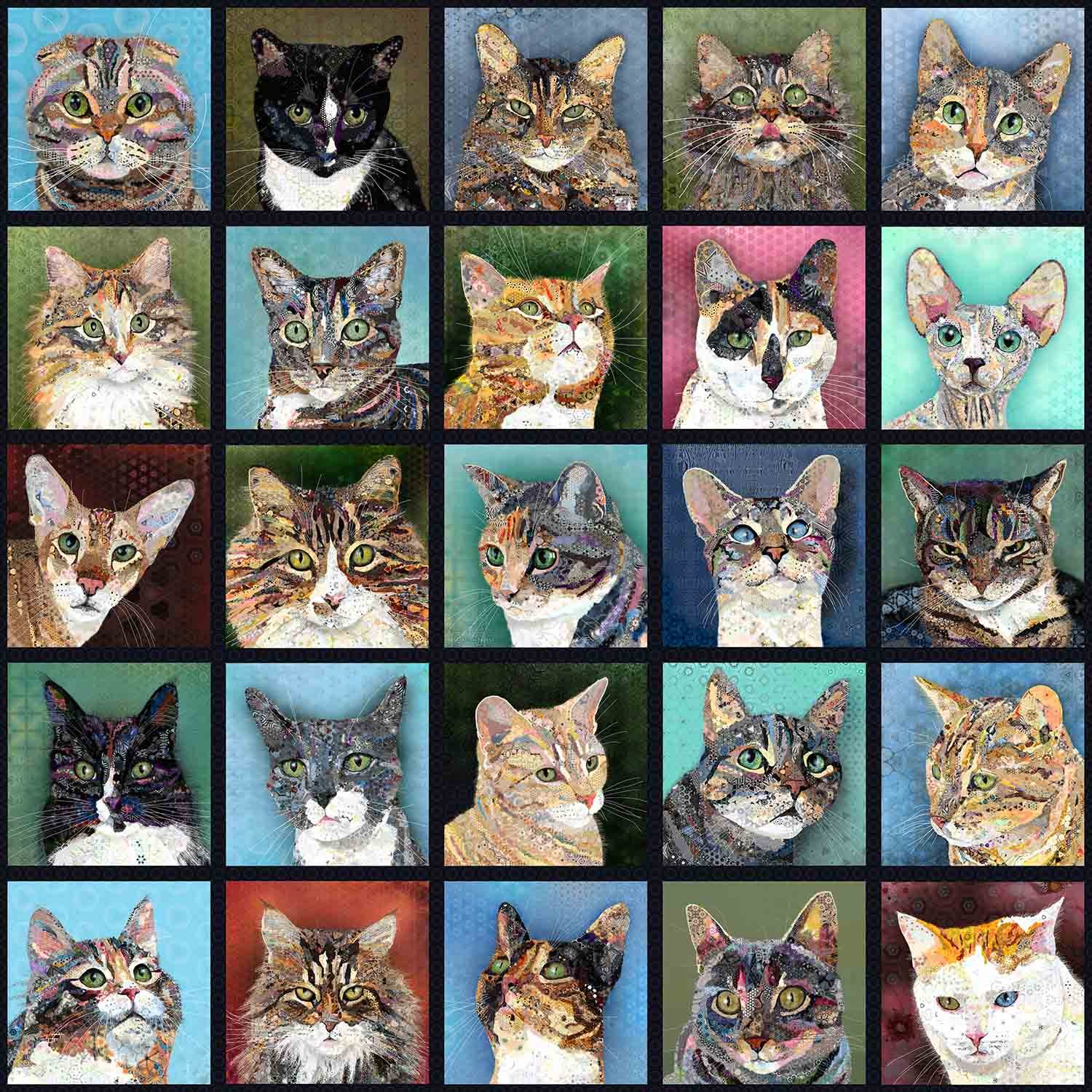 so many cats sm.jpg