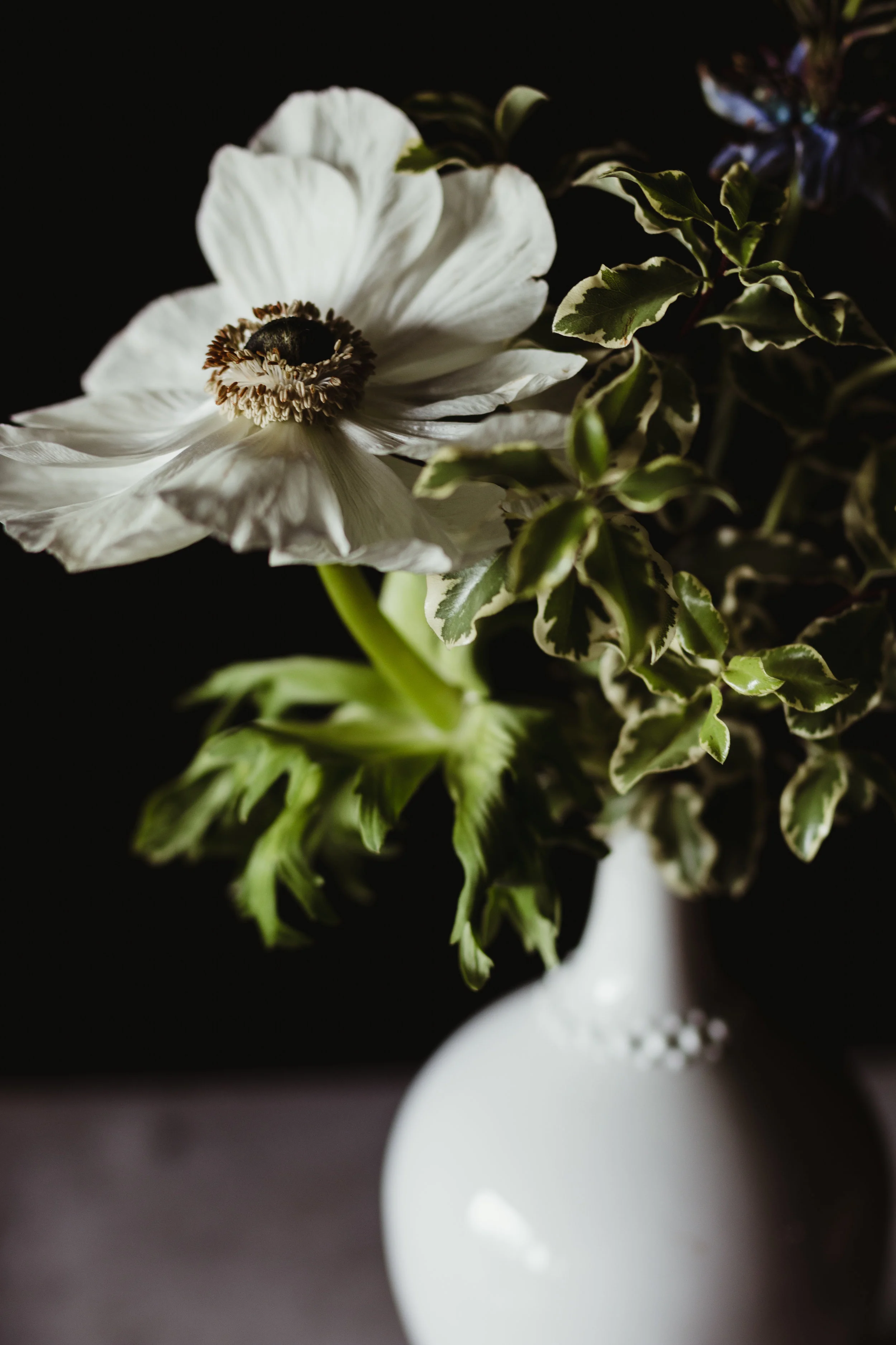 budvases-17.jpg