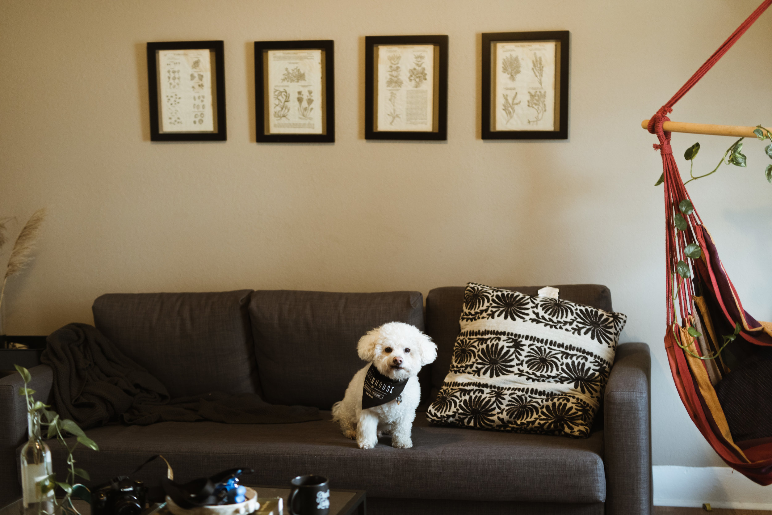 home-4.jpg