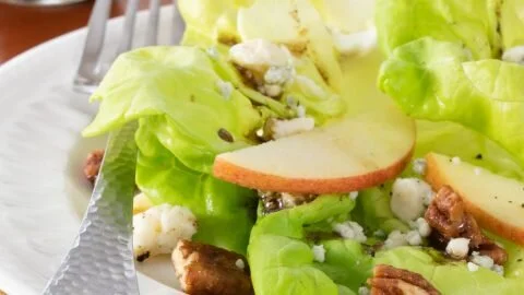 Butter Leaf Apple Salad