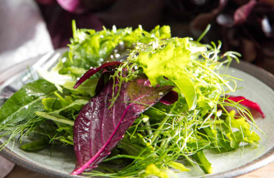 side salad.png