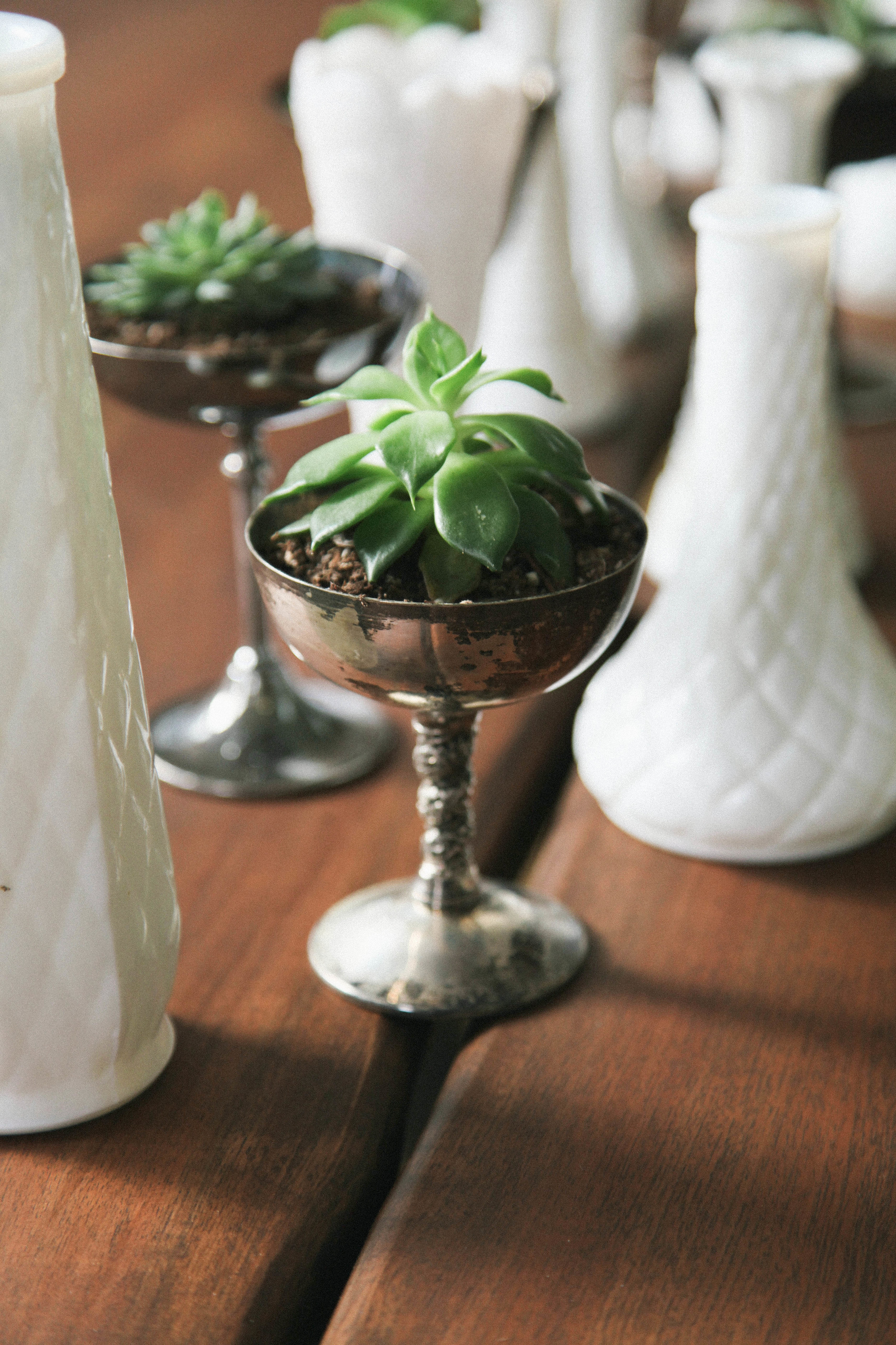 A Collection : There's more oomph when multiples hang out together and make a collective statement.