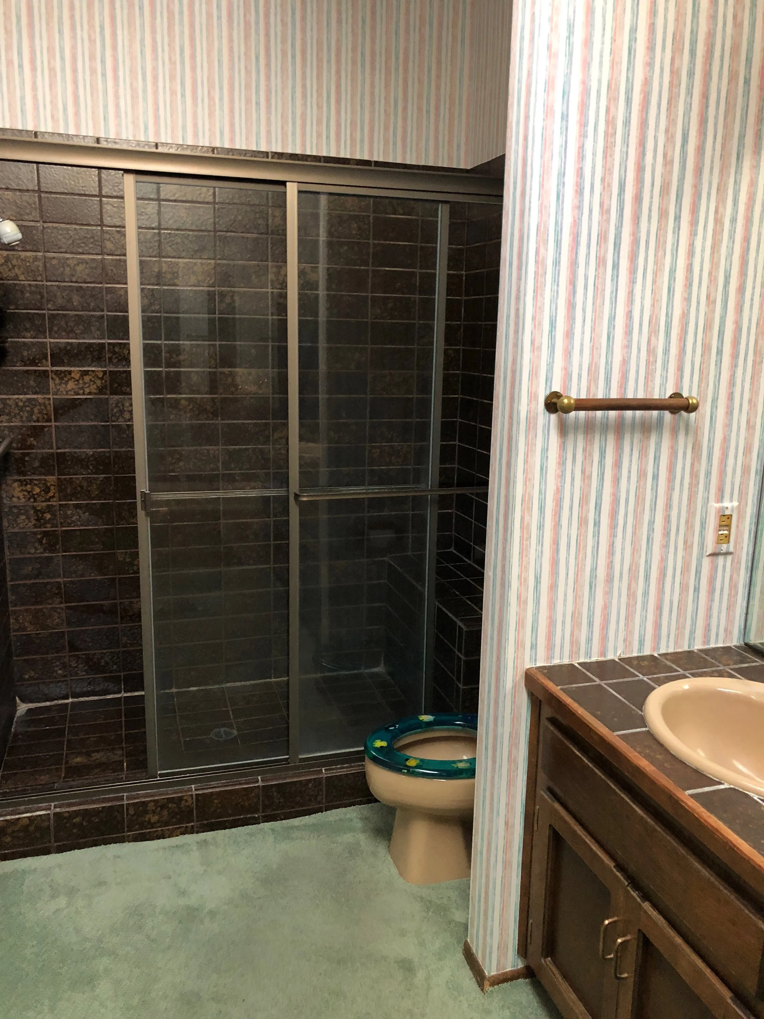 BEFORE // Ugly shower and toilet