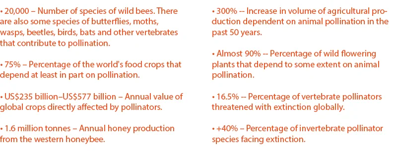 Source: IPBES, Pollinators Vital to Our Food Supply Under Threat , 2016