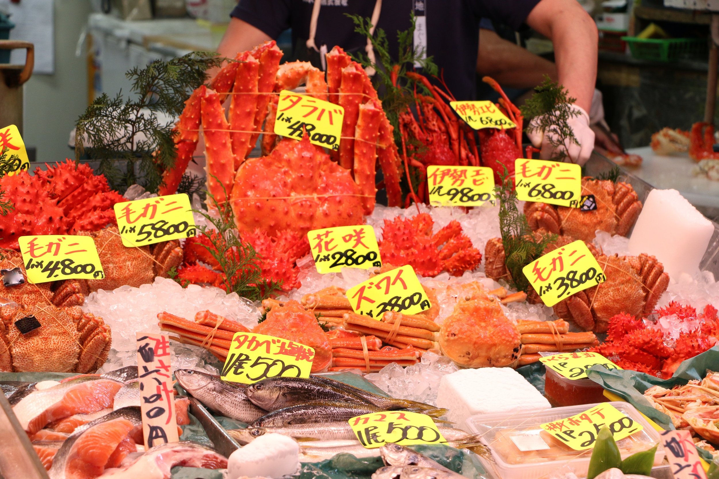 2 - Japan, Tokyo, Tsukiji Fish Market (2).jpg