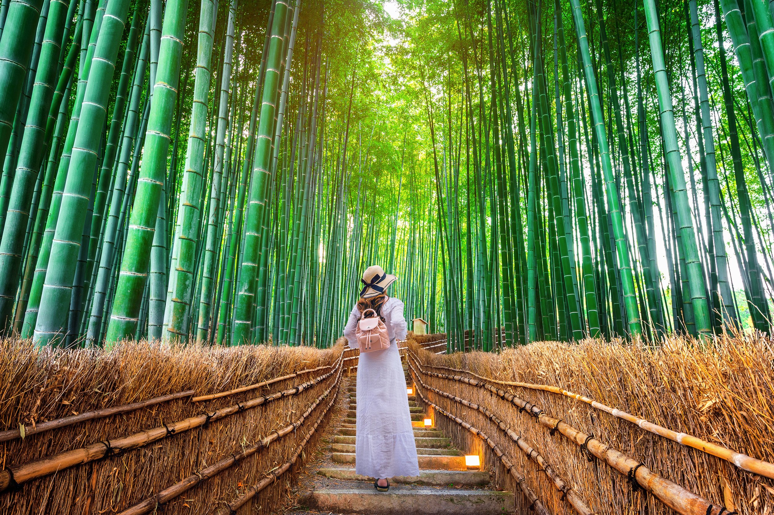 3 - Japan, Kyoto, Arashiyama, Bambo Forest (2).jpg