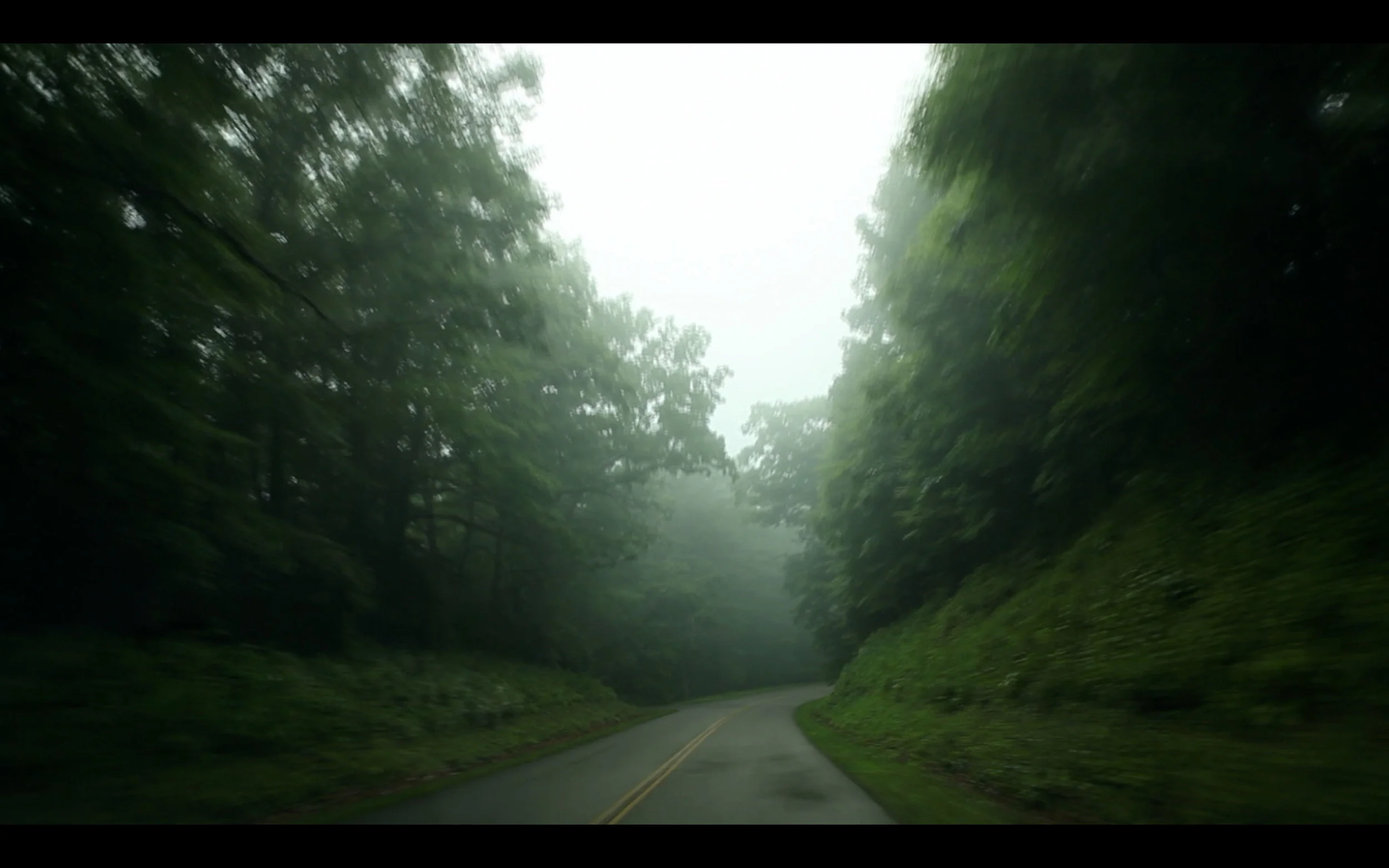 fog01b.jpg