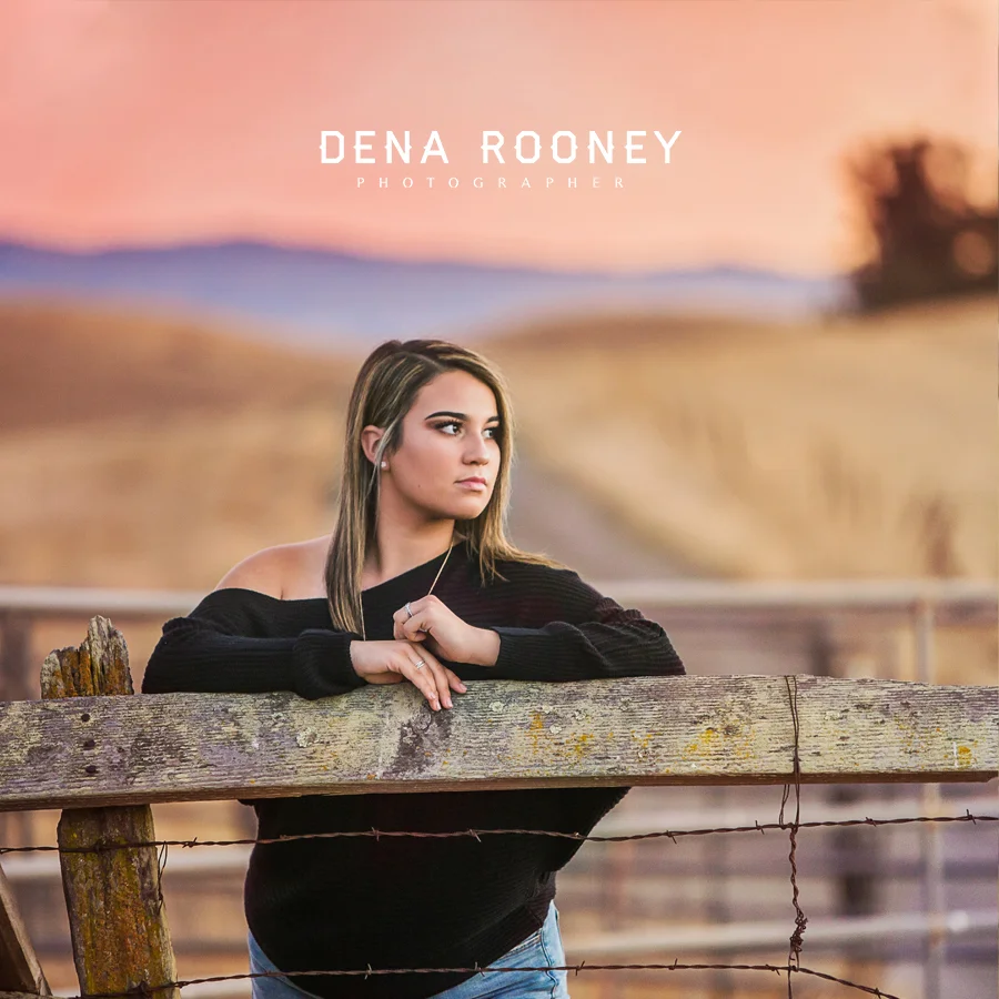 Dena Rooney Photographer