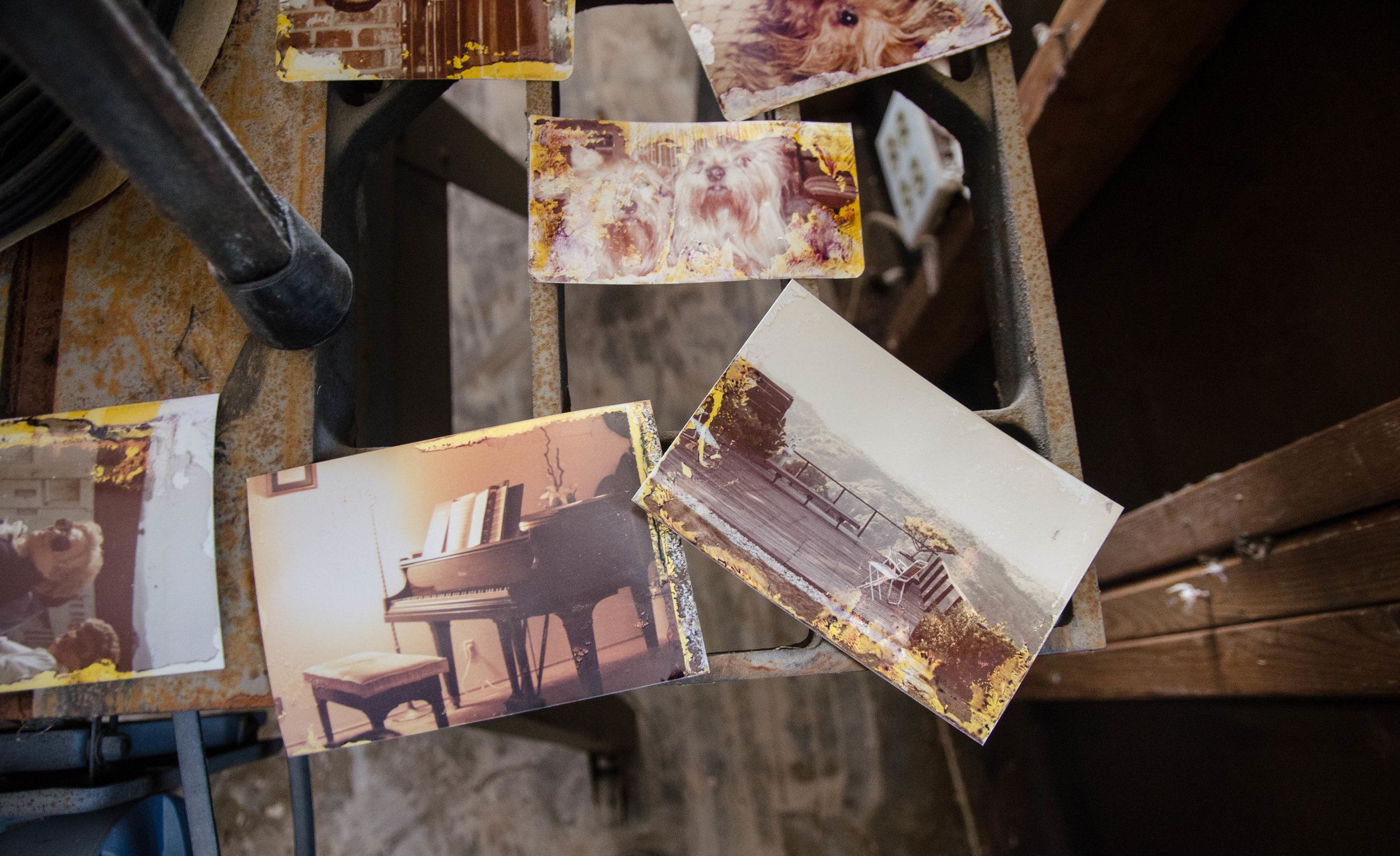  Flood damaged family photographs are spread out to dry around the house. 