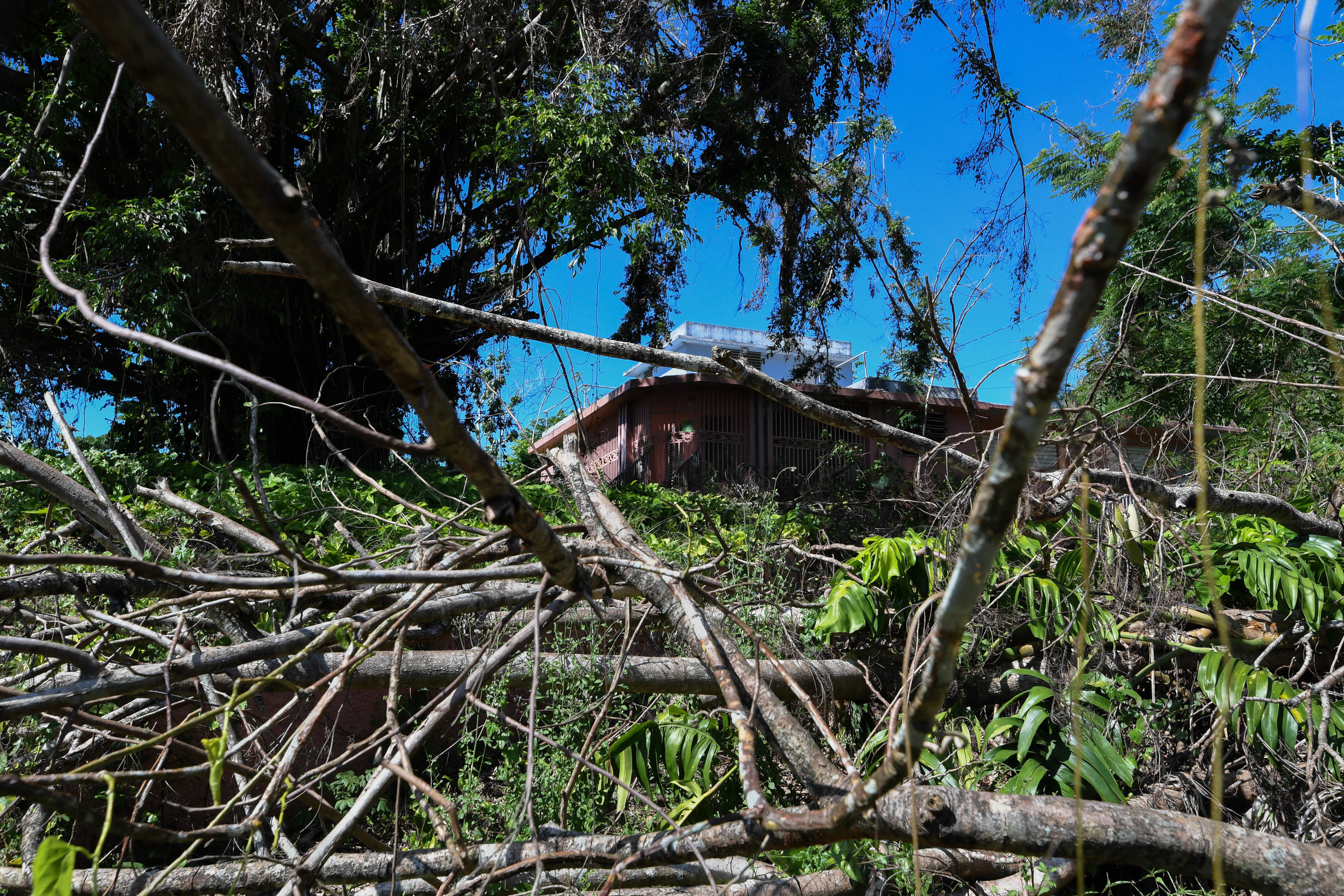  A house in Maguayo is covered in power lines and tree limbs. 