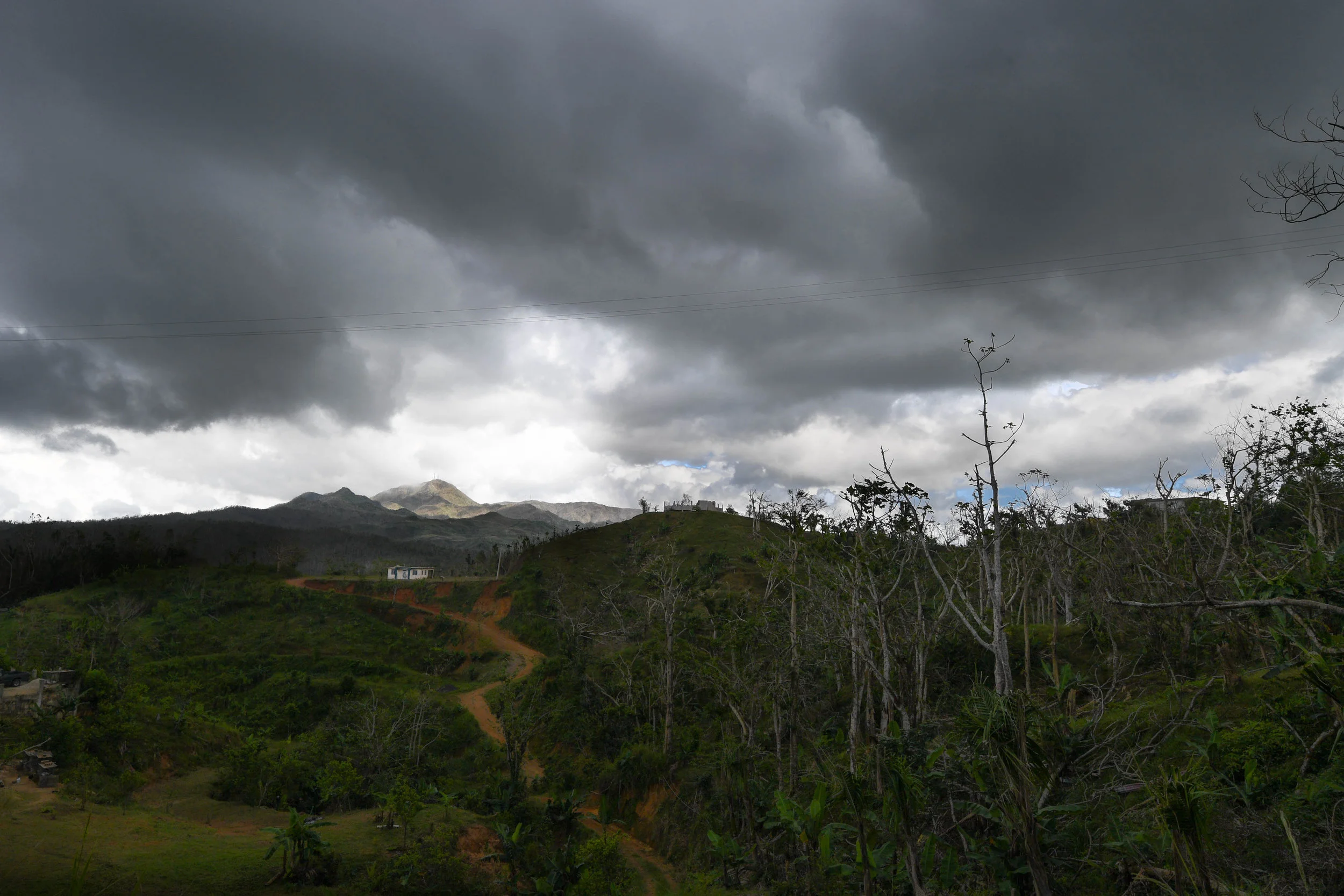 house sits on a hilltop along the damaged road to Jayuya. The bent and twisted trees are a sign of the sustained maximum wind speeds from Hurricane Maria, the strongest hurricane to hit Puerto Rico since 1928.