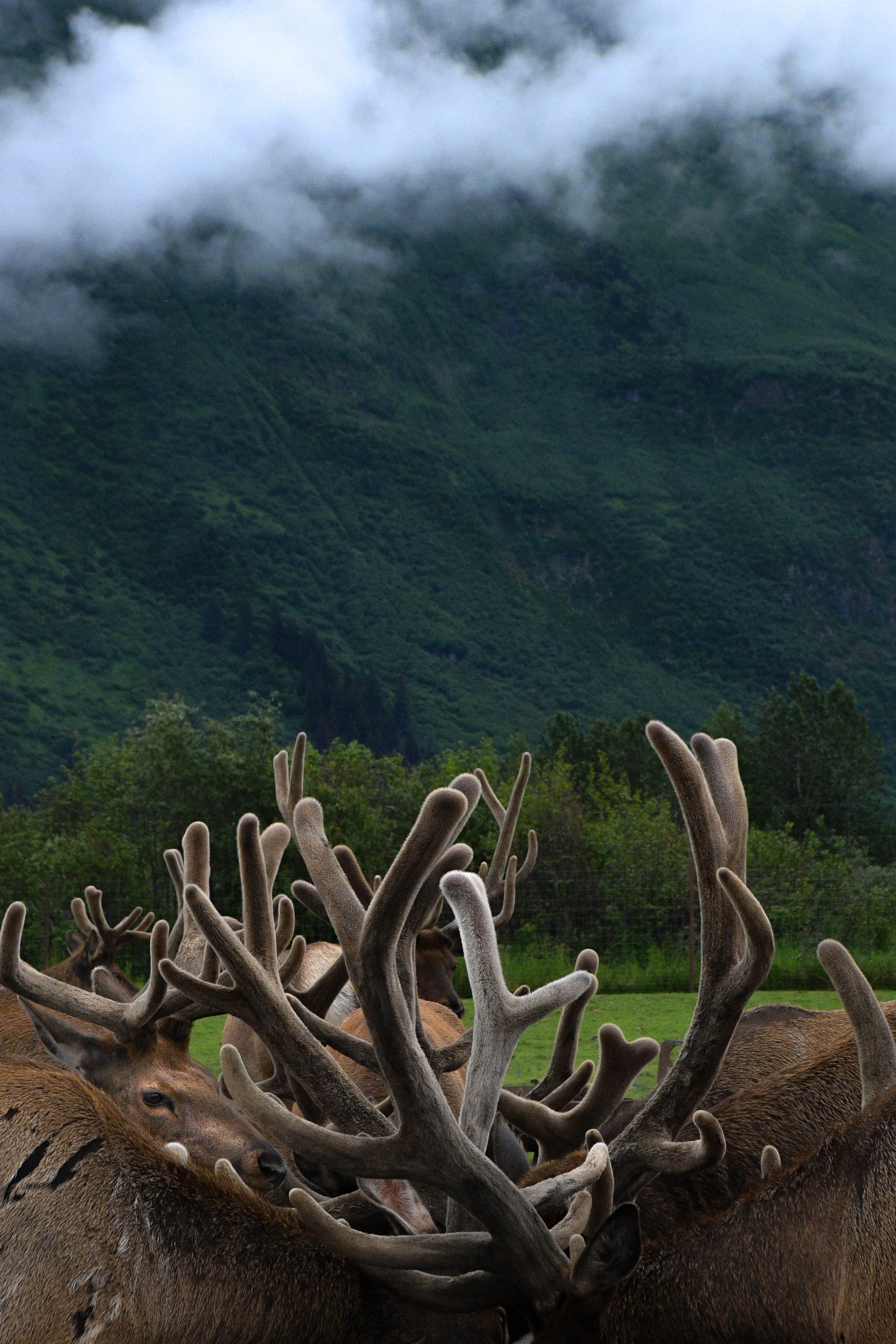 Alaska_005.jpg