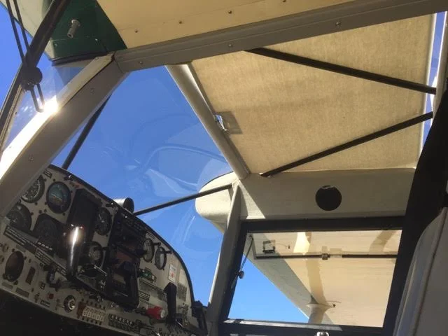 sun shade.jpg