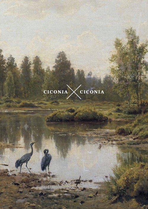 ciconia-ciconia-Katalog-2020.jpg