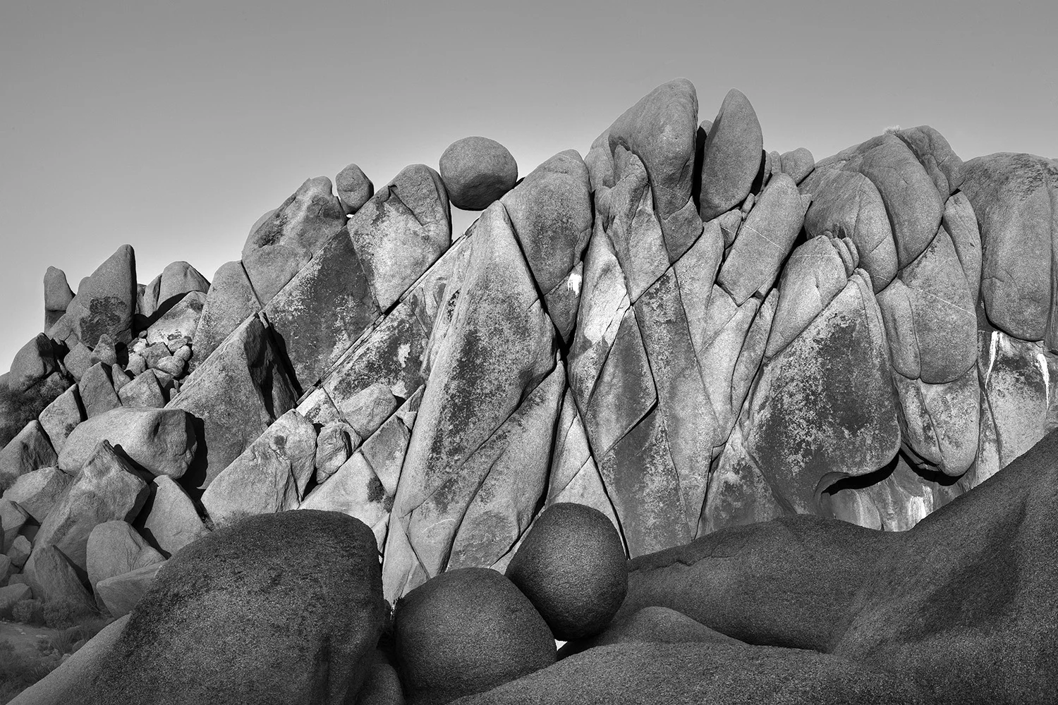 Joshua Tree N.P. 