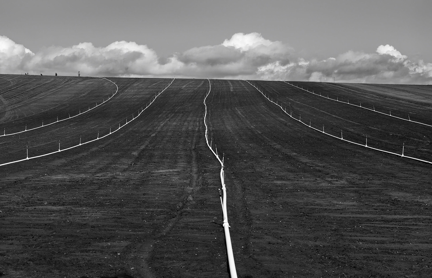 Crop Land