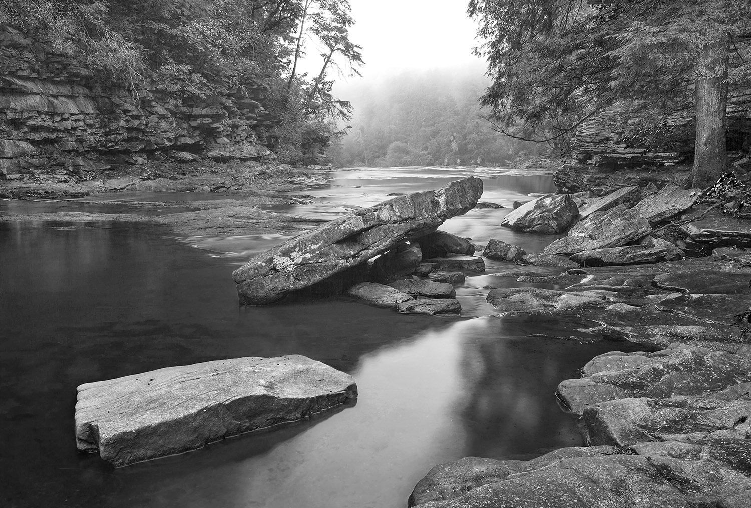 Tn. Stream