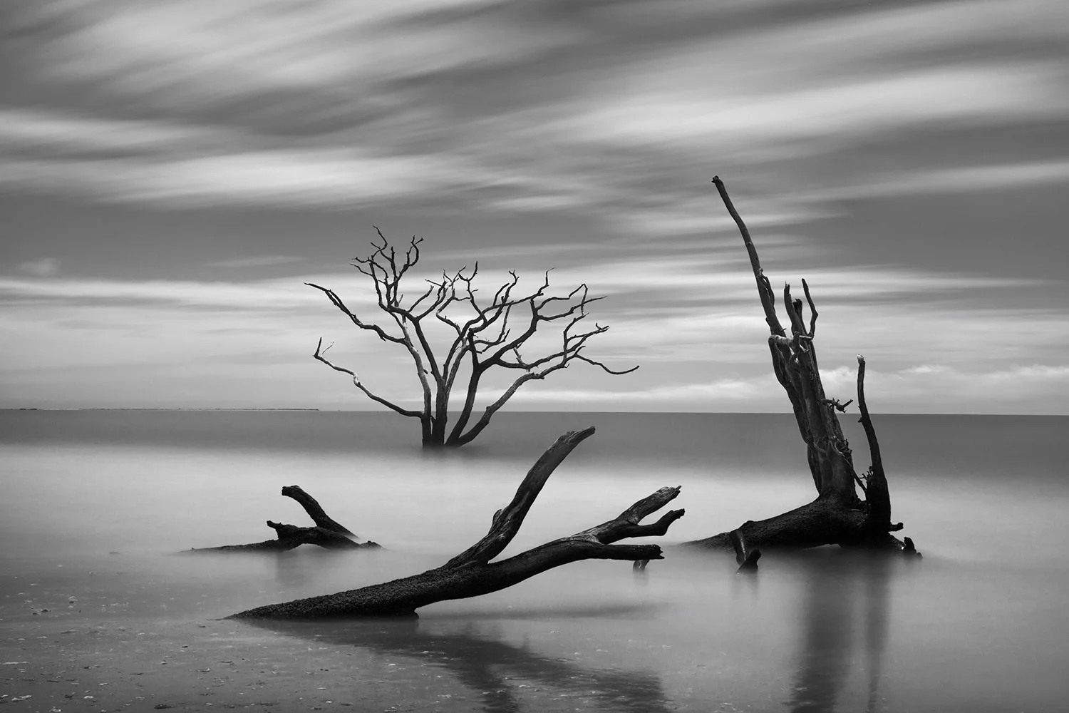 Botany Bay