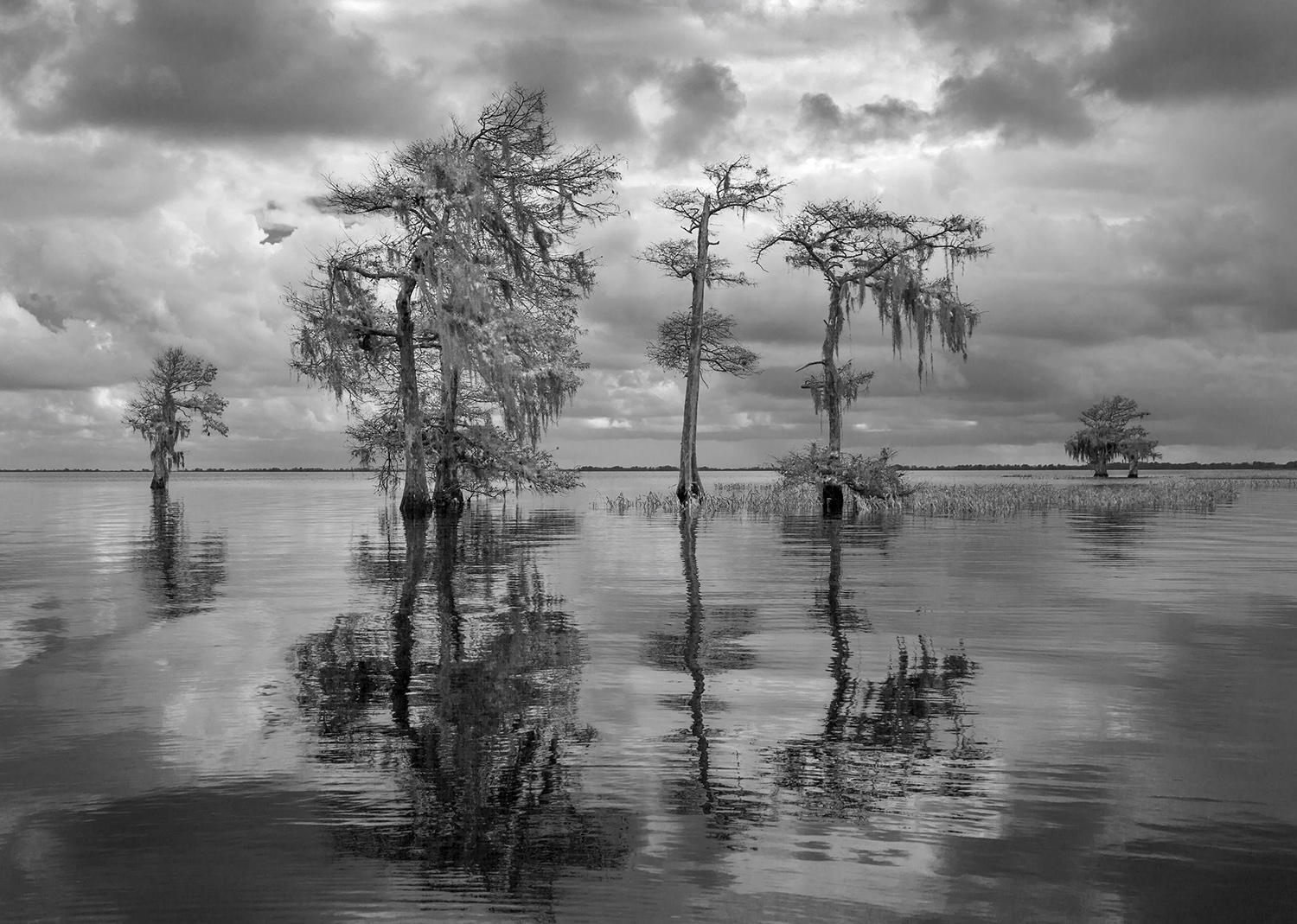 Cypress Strand