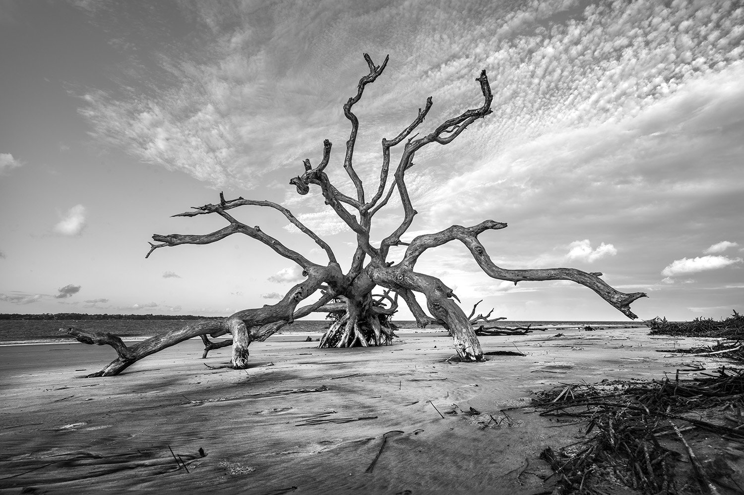 Jeykell Island