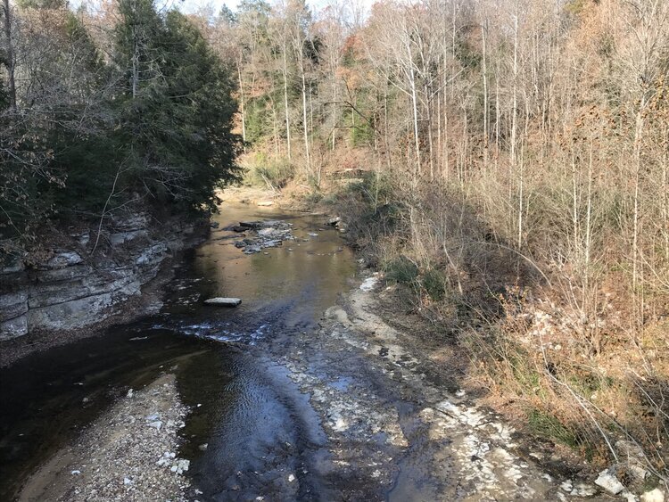 Site+of+Cummins+Mill.jpeg
