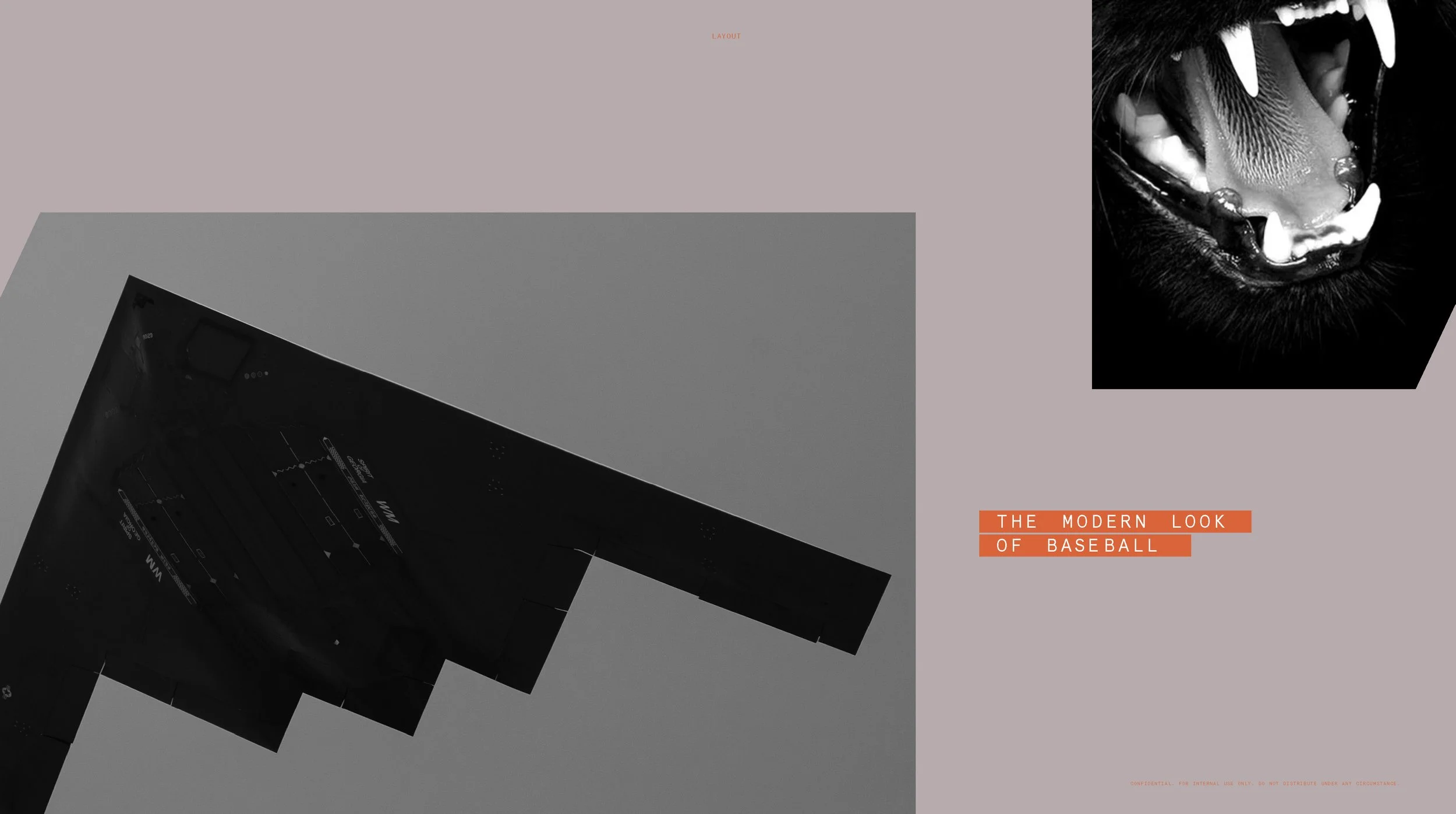 Nike x MLB Strategy_BD2_Page_50.jpg