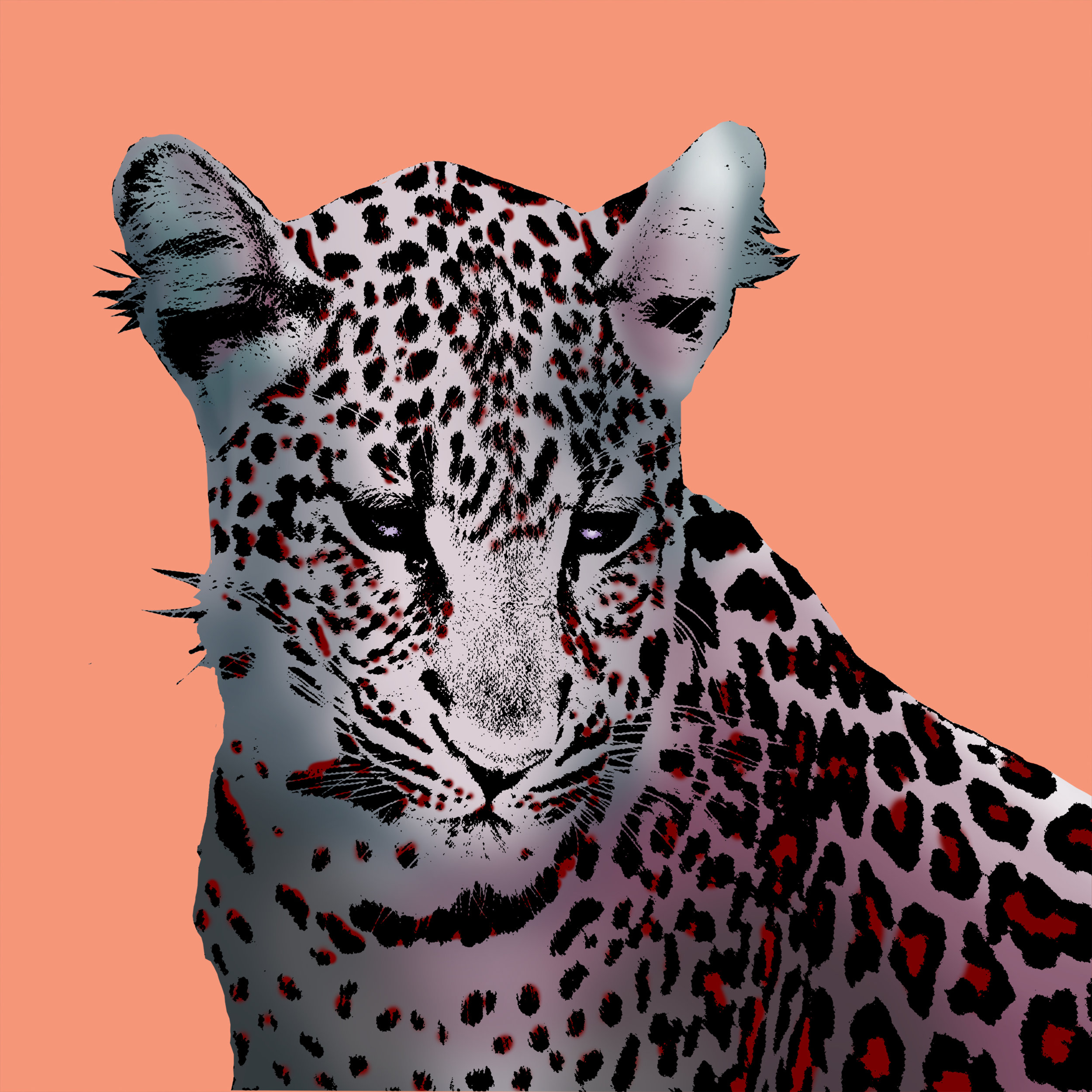 LeopardPopArt.jpg