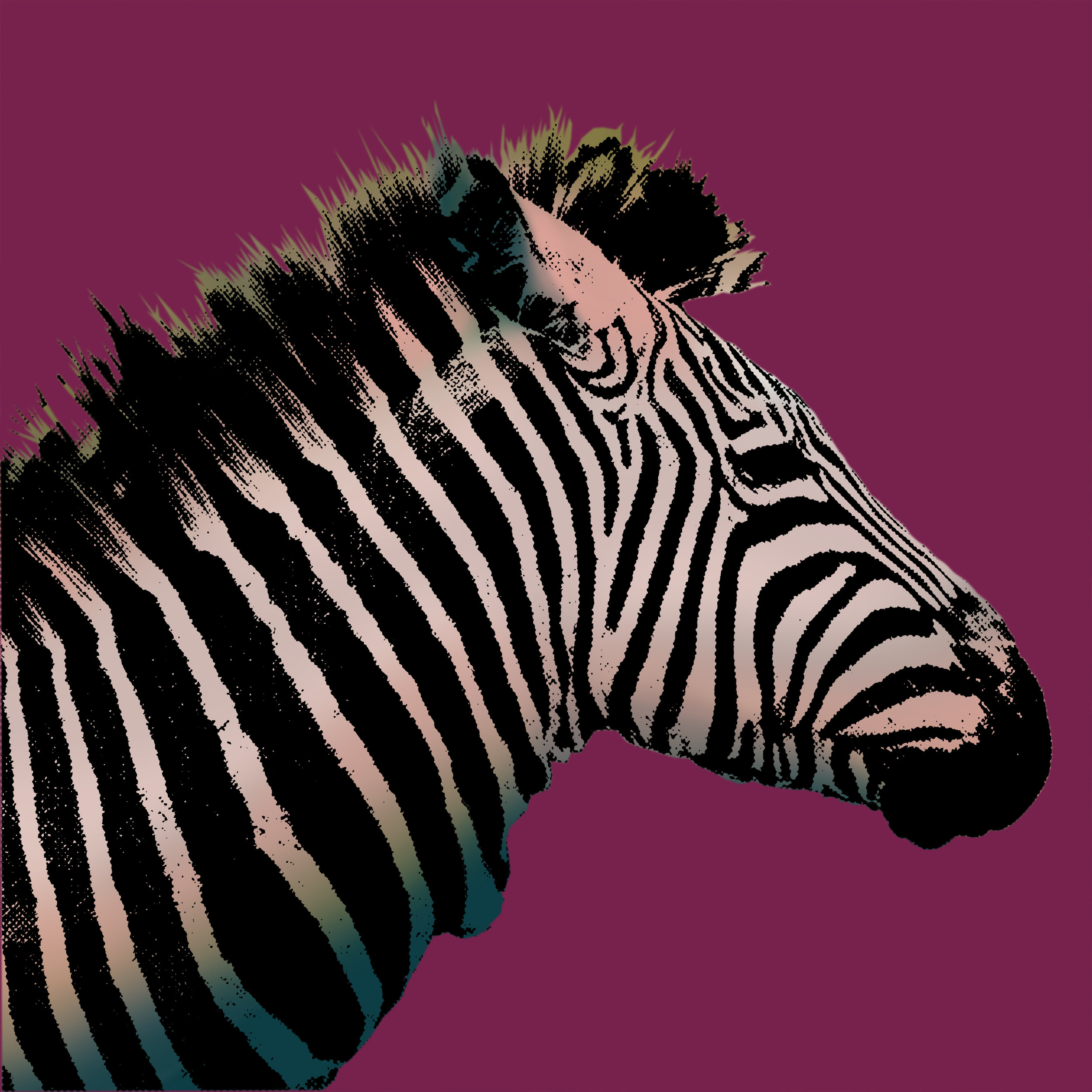 Zebra_PopArt.jpg