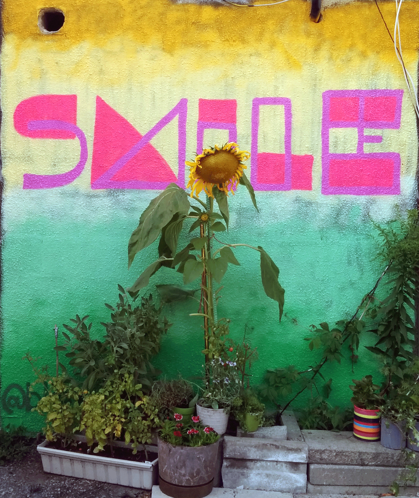 spraypaint.png