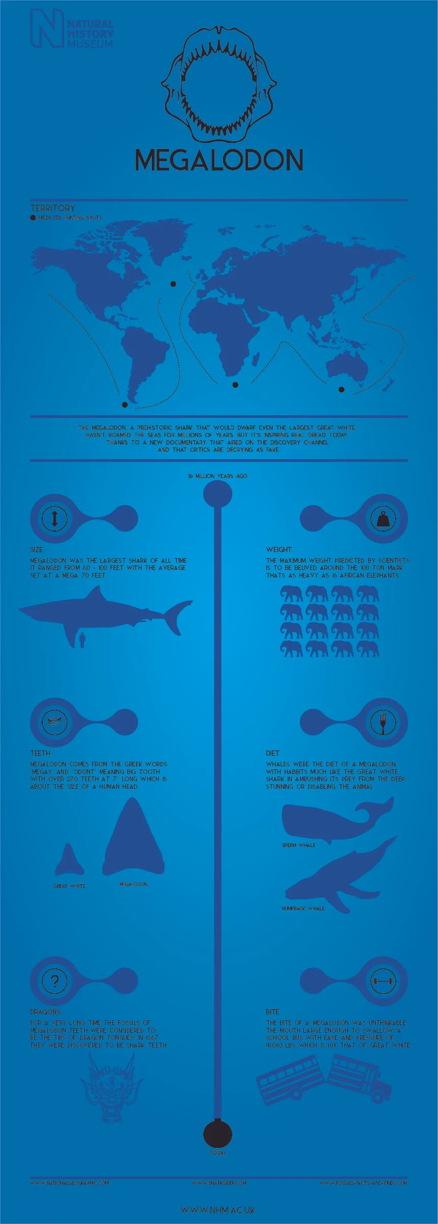 megaladon main.jpg