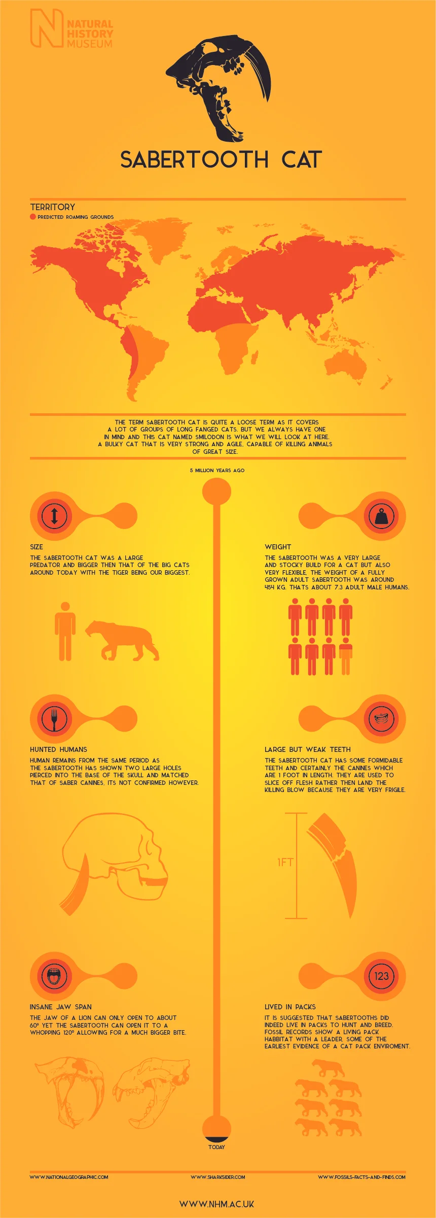 Sabretooth cat main.jpg