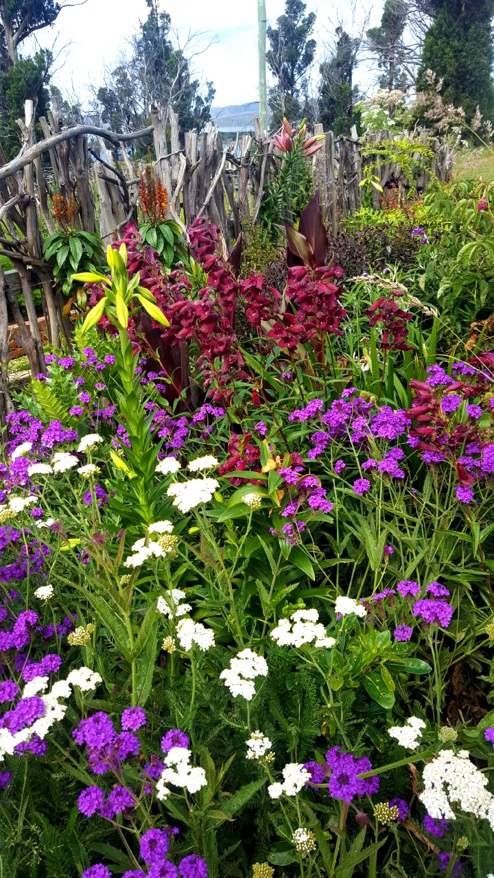 Flowers 2.jpg